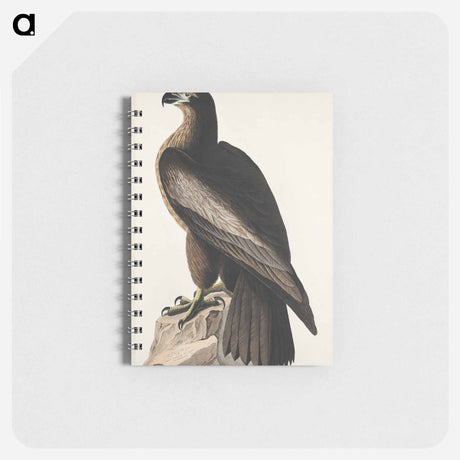 アートメモ帳-The Bird of Washington or Great American Sea Eagle from Birds of America
 - アメリカの鳥たち Memo.
