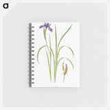1-35_The-Genus-Iris_memo