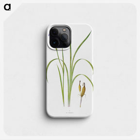 1-35_The-Genus-Iris_phone
