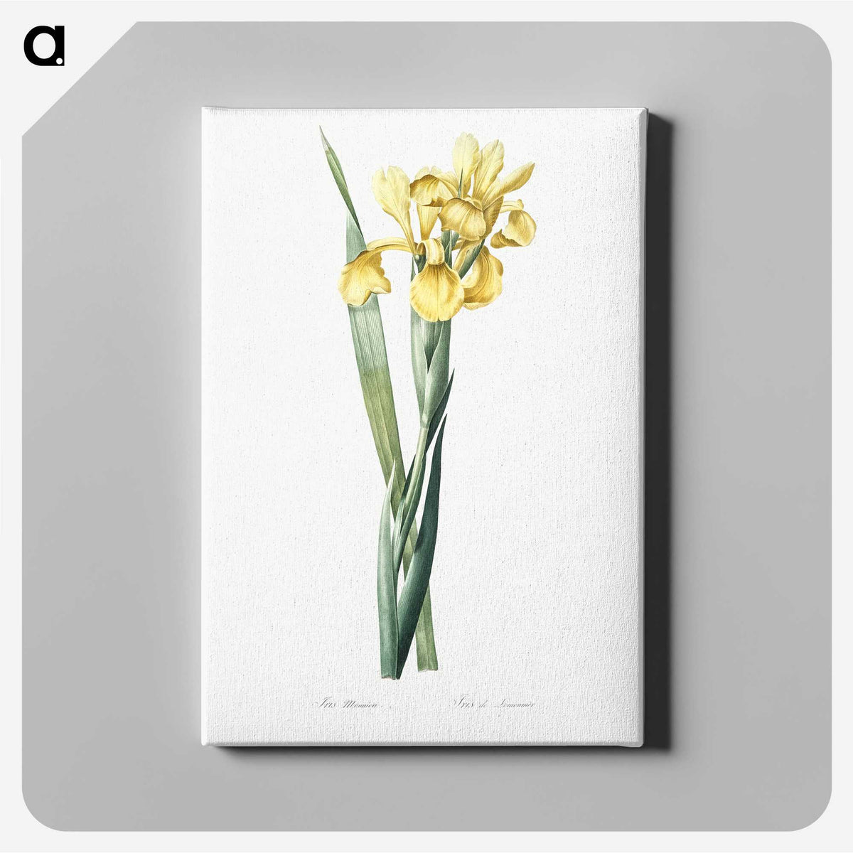1-35_The-Lilies_canvas