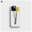 1-35_The-Lilies_phone