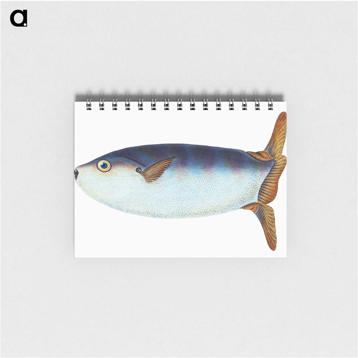 1-35_The-Natural-History-of-British-Fishes_memo