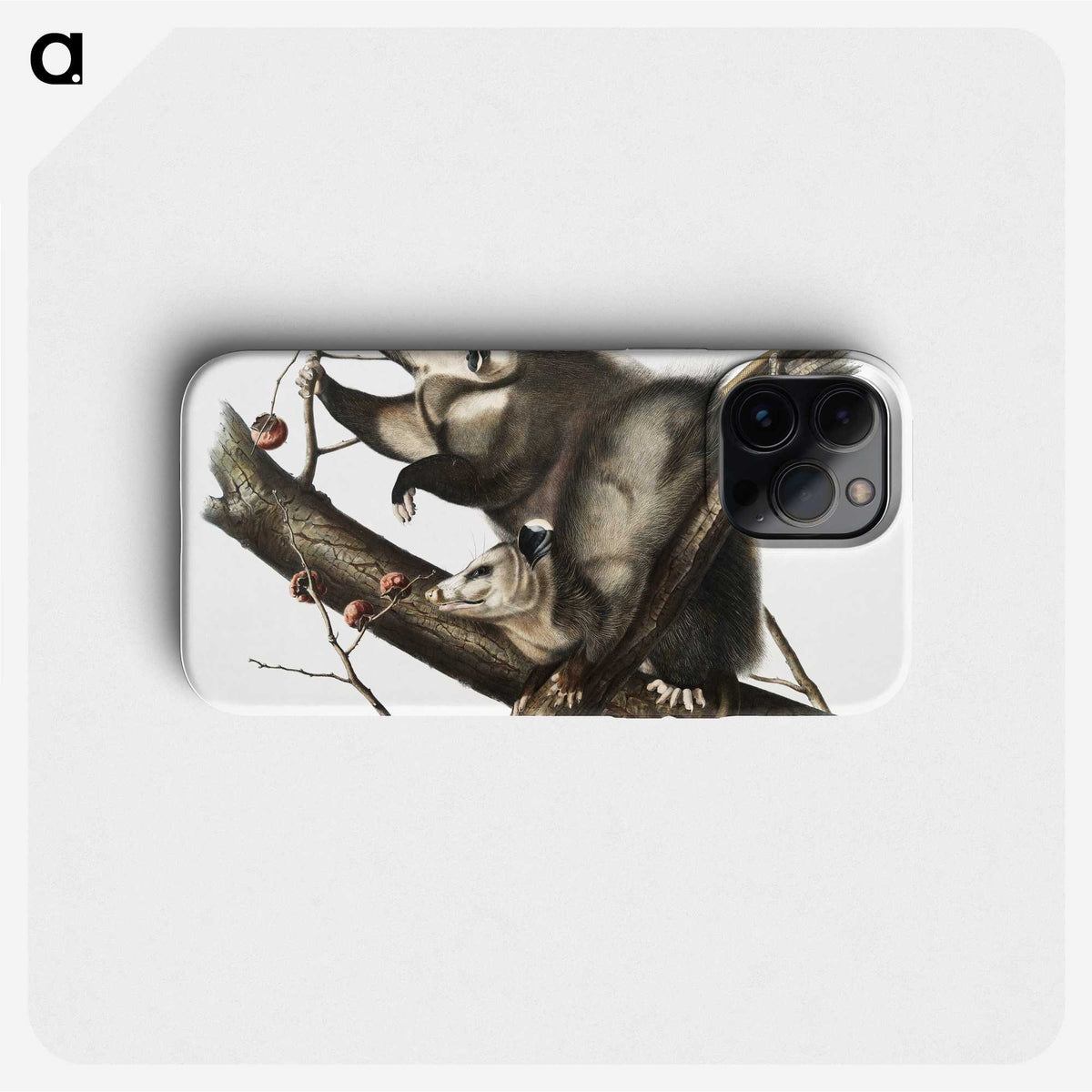 1-35_The-Viviparous-Quadrupeds_phone