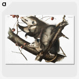 1-35_The-Viviparous-Quadrupeds_picture-crop