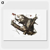 1-35_The-Viviparous-Quadrupeds_picture