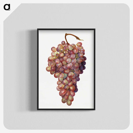 1-35_USDA-Watercolor-Fruit-Painting-Collection_blk-crop