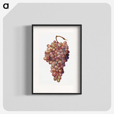 1-35_USDA-Watercolor-Fruit-Painting-Collection_blk