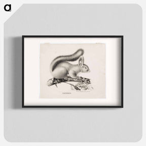 アートポスター-Squirrel - ヴィルヘルム フォン ライト Poster.