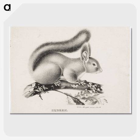 1-35_Wilhelm-von-Wright_picture-crop
