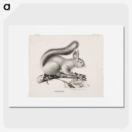 1-35_Wilhelm-von-Wright_picture