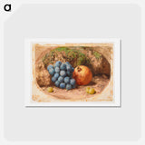 アートポストカード-Still Life with Grapes and a Pomegranate - ウィリアム ヘンリー ハント Postcard.
