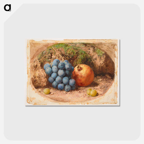 アートポストカード-Still Life with Grapes and a Pomegranate - ウィリアム ヘンリー ハント Postcard.