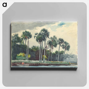 アートパネル-Red Shirt, Homosassa, Florida - ウィンスロー ホーマー Canvas.
