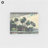 Red Shirt, Homosassa, Florida - ウィンスロー ホーマー Memo.