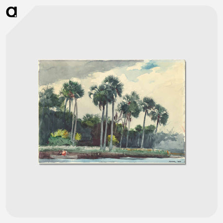 アートポストカード-Red Shirt, Homosassa, Florida - ウィンスロー ホーマー Postcard.
