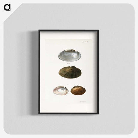 1-35_Zoology-of-New-York_blk
