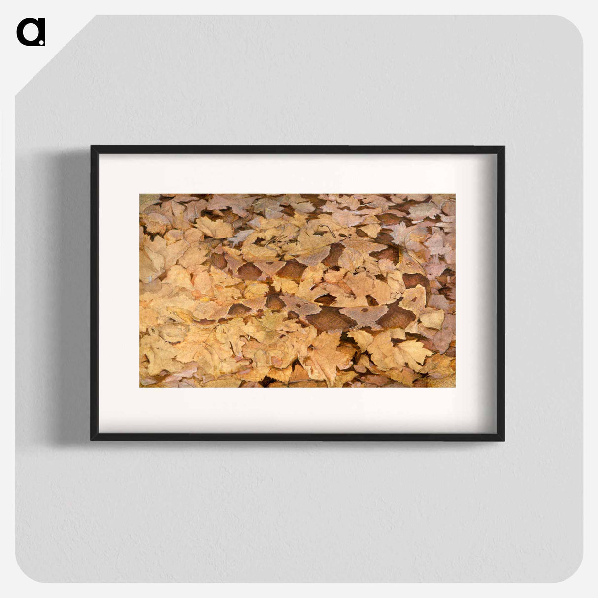 Copperhead Snake on Dead Leaves - アボット ハンダーソン セイヤー Poster.