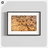 Copperhead Snake on Dead Leaves - アボット ハンダーソン セイヤー Poster.