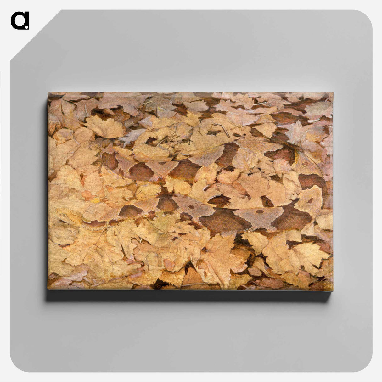 Copperhead Snake on Dead Leaves - アボット ハンダーソン セイヤー Canvas.