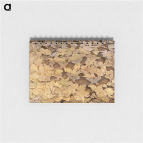 1-36_Abbott-Handerson-Thayer_memo
