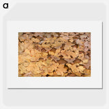 Copperhead Snake on Dead Leaves - アボット ハンダーソン セイヤー Poster.