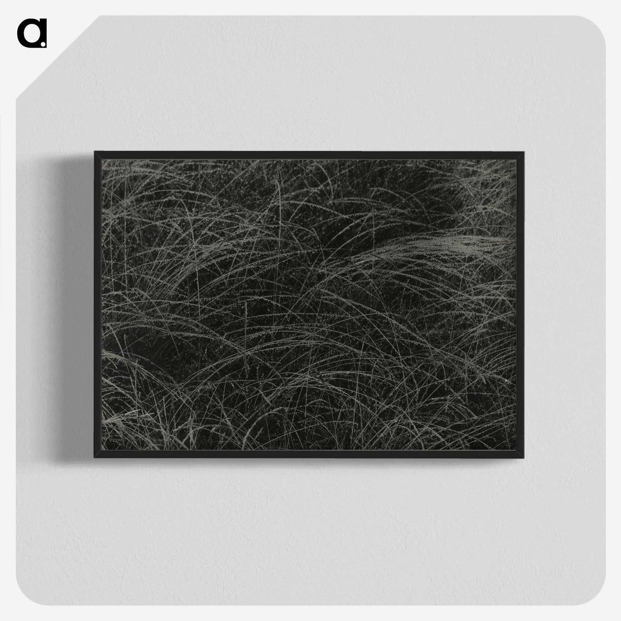 1-36_Alfred-Stieglitz_blk-crop