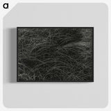 1-36_Alfred-Stieglitz_blk-crop