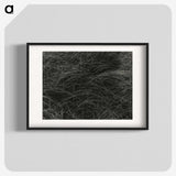 1-36_Alfred-Stieglitz_blk