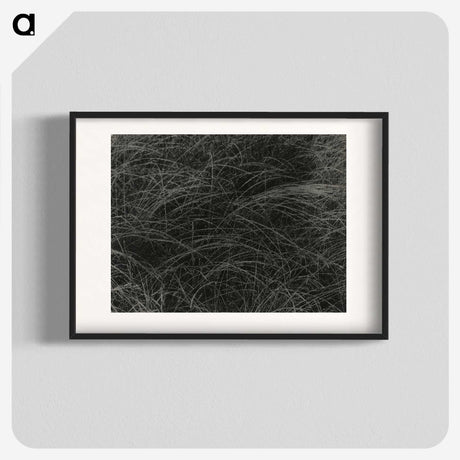 1-36_Alfred-Stieglitz_blk