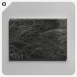 1-36_Alfred-Stieglitz_canvas