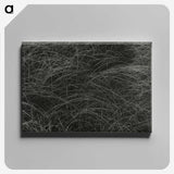 1-36_Alfred-Stieglitz_canvas