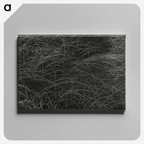 1-36_Alfred-Stieglitz_canvas