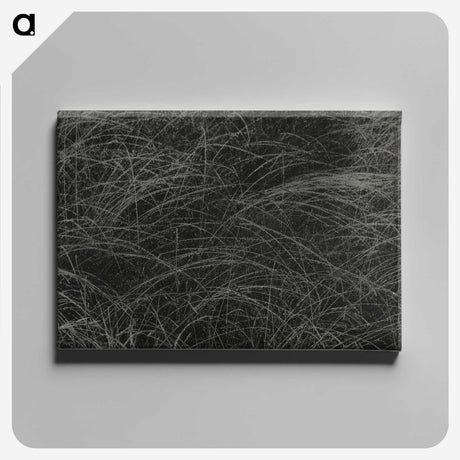 1-36_Alfred-Stieglitz_canvas