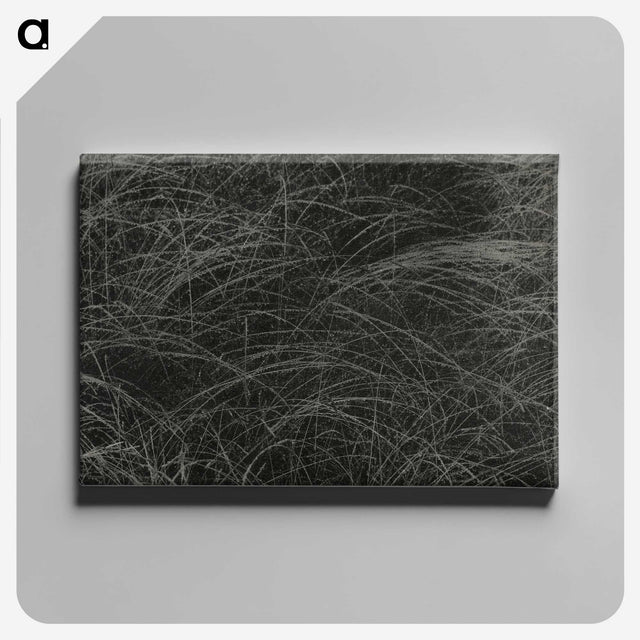 1-36_Alfred-Stieglitz_canvas