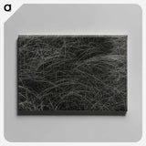 Equivalent - アルフレッド スティーグリッツ Canvas.