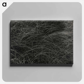 アートパネル-Equivalent - アルフレッド スティーグリッツ Canvas.
