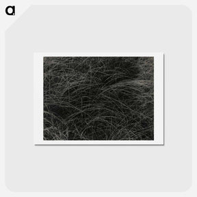 アートポストカード-Equivalent - アルフレッド スティーグリッツ Postcard.