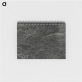 1-36_Alfred-Stieglitz_memo