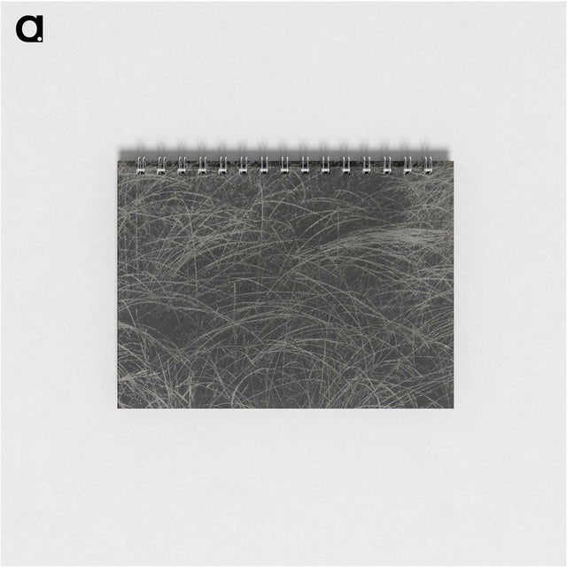 1-36_Alfred-Stieglitz_memo