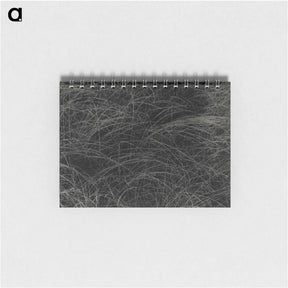 アートメモ帳-Equivalent - アルフレッド スティーグリッツ Memo.