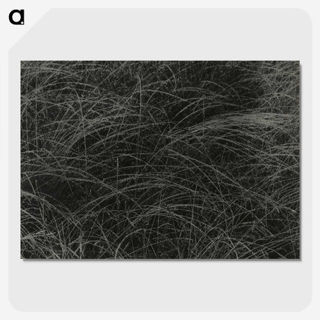 1-36_Alfred-Stieglitz_picture-crop