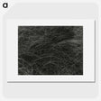 1-36_Alfred-Stieglitz_picture