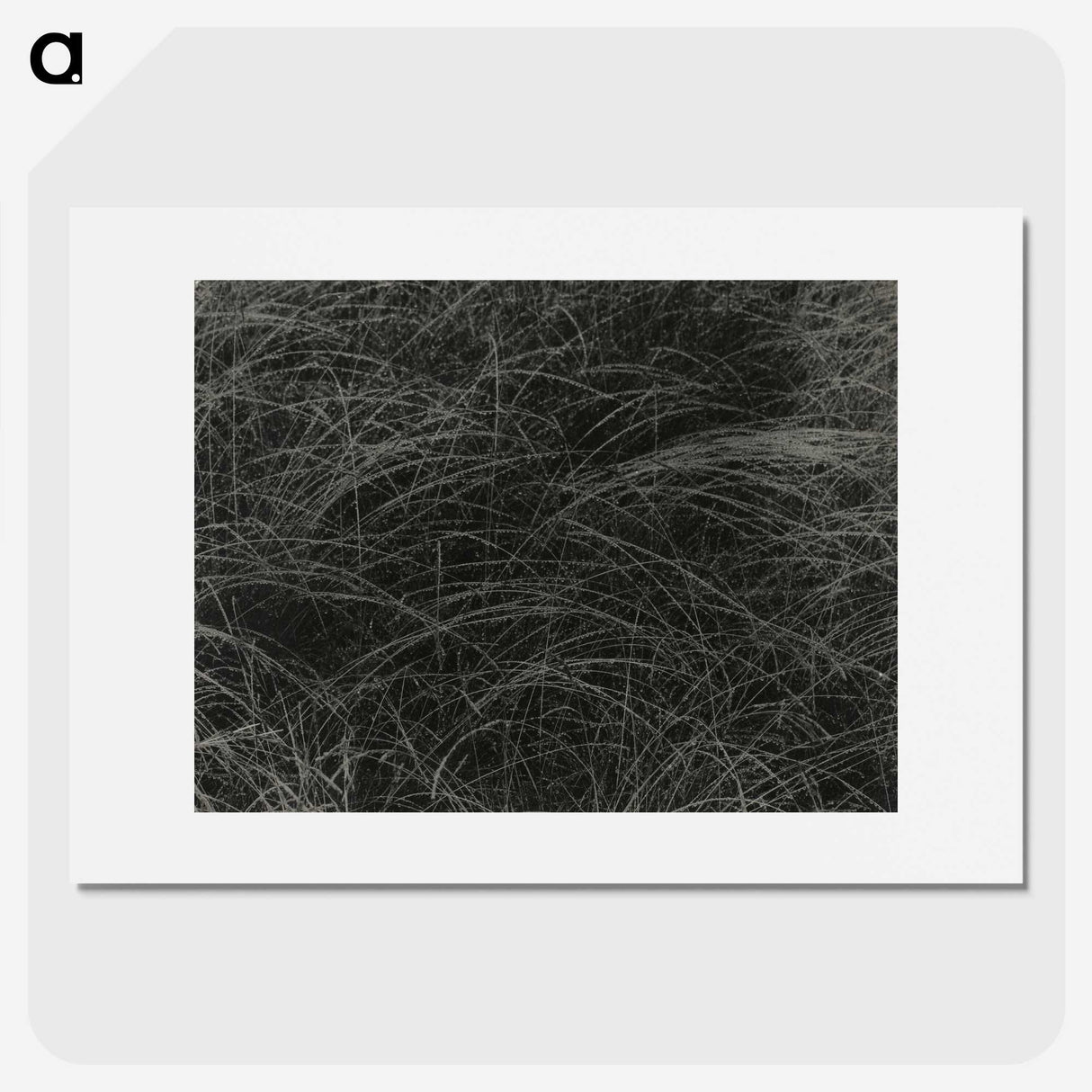 1-36_Alfred-Stieglitz_picture