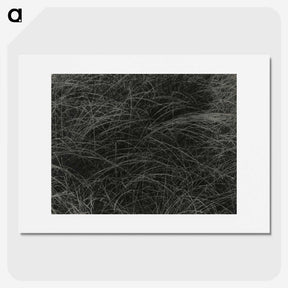 1-36_Alfred-Stieglitz_picture