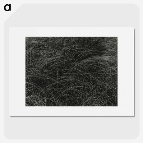 1-36_Alfred-Stieglitz_picture