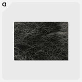 アートポストカード-Equivalent - アルフレッド スティーグリッツ Postcard.