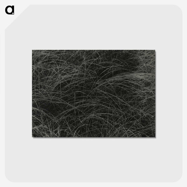1-36_Alfred-Stieglitz_postcard