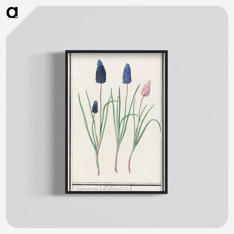 1-36_Anselmus-Boetius-de-Boodt_blk-crop