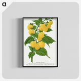 1-36_Botanical-Specimen-Plates_blk-crop