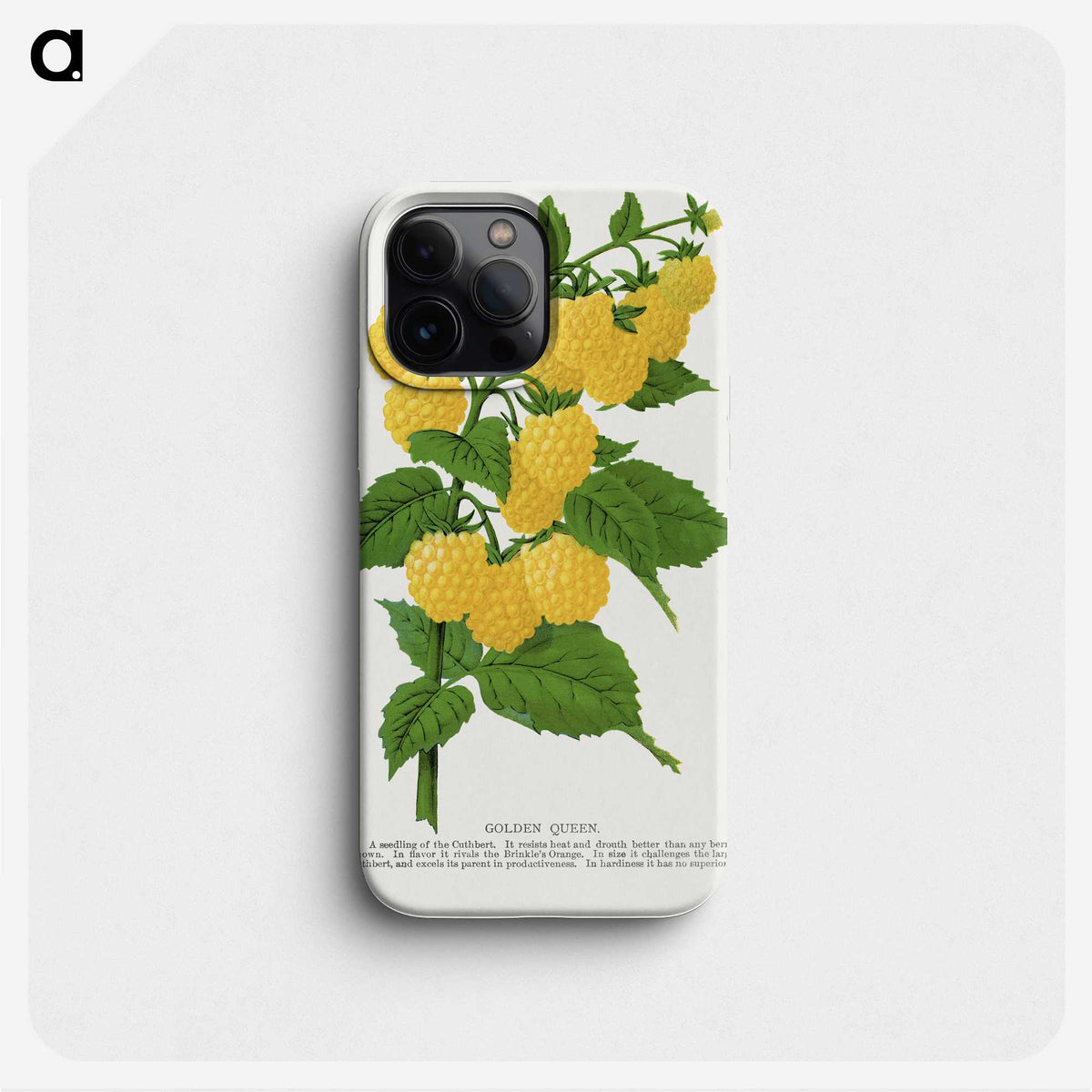 1-36_Botanical-Specimen-Plates_phone